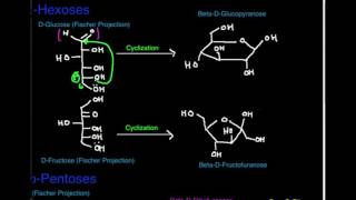 Carbohydrate Structure Aldohexoses and Ketohexoses [upl. by Nyrahtak]