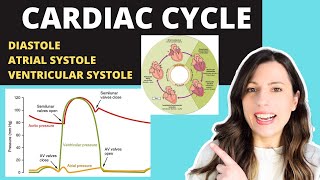 Alevel CARDIAC CYCLE Diastole atrial systole ventricular systoles the pressure volume changes [upl. by Purington]