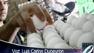 En Tabasco no se ha elevado el precio del Huevo Luis Carlos Dupeyrón [upl. by Nahbois]