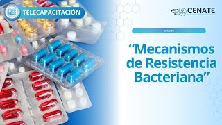 Mecanismos de Resistencia Bacteriana [upl. by Yraeg715]