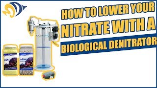 How to Lower Your Nitrate with a Biological Denitrator [upl. by Cassil]