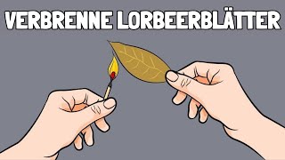 DAS passiert wenn du Lorbeerblätter verbrennst [upl. by Wilbur752]