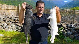 HOW TO COOK RABBIT IN THE WILDERNESS  BEST RABBIT COOKING RECIPE BY CHEF TAVAKKUL [upl. by Aseeral]