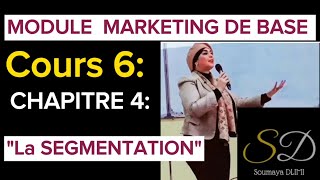 Module MarketingquotLa Segmentation quotStratégies MarketingNiche MarketingPersona clientClientèle [upl. by Culliton78]