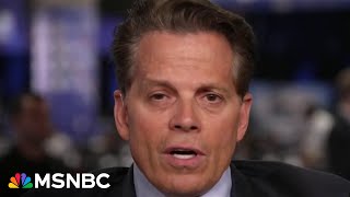 ‘He only cares about himself’ Anthony Scaramucci on why former Trump officials are backing Harris [upl. by Langan]