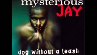 Mysterious Jay  Dog Without A Leash [upl. by Keiko]