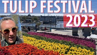 Tulip Festival Amsterdam 2023 [upl. by Ibloc]