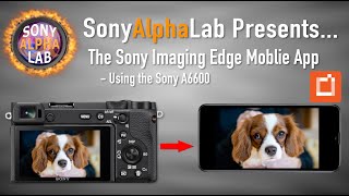 How To Connect Your Sony Camera to Your Mobile Phone [upl. by Wake]