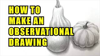 How To Make An Observational Drawing [upl. by Randal716]