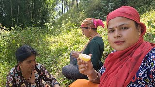 इतनी खुशी की फाइनली गहत की कटाई खत्म😀anchalvlog devbhumiuttarakhand [upl. by Acino]