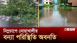 বৈরী আবহাওয়ার প্রভাবে নোয়াখালীর বন্যা পরিস্থিতি অবনতি  Noakhali  Flood Situation  News  Desh TV [upl. by Folger78]