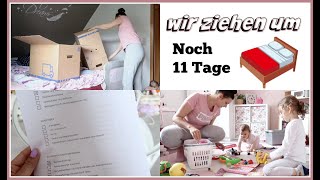 UMZUGSCOUNTDOWN läuft  Zwischen Mamaalltag amp Kisten packen📦 FV 313 [upl. by Koziarz873]