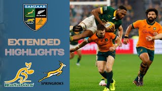 Wallabies Vs Springboks Highlights ¦ Rugby Championship 2024 ¦ Australia vs South Africa [upl. by Landahl871]