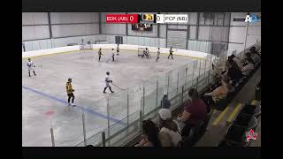 Edmonton Killer Bees AB vs Port City Pigeons NB 2023 Canada Ball Hockey B Bronze Game [upl. by Donnell]