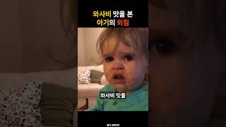 와사비 맛을 본 아기의 외침 funny baby [upl. by Omlesna831]