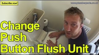 HOW TO CHANGE A PUSH BUTTON FLUSH UNIT  Plumbing Tips [upl. by Nisaj]