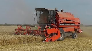 Mähdrescher DeutzFahr M1322 Weizenernte bei Meldorf [upl. by Casia289]