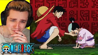 MOMONOSUKE ASKS LUFFY one piece reaction [upl. by Gorski]