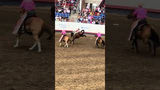 Greeley Stampede Colorado Dímelo Boricua 🇵🇷🇵🇷🇵🇷 [upl. by Noakes]