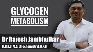 10 Glycogen metabolism Glycogenesis and Glycogenolysis [upl. by Erickson]