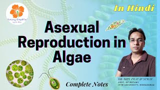 Asexual Reproduction in Algae  Zoospores  Aplanospores  Hypnospores  Akinetes  Hyterocyst [upl. by Gala]