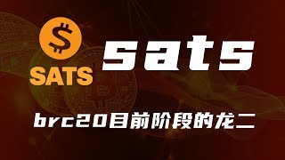 sats：BRC20目前阶段的龙二【第36期】 [upl. by Nydia]