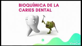 Bioquímica de la caries dental UCACUE [upl. by Cormick]