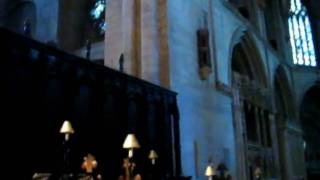 Stanislav Surin plays the Postlude of Leos Janacek [upl. by Ihsakat]