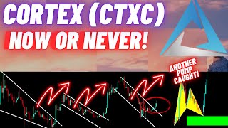 This Is Really A Now Or Never Opportunity For Cortex CTXC Crypto Coin [upl. by Auohc]