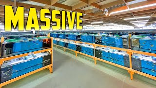 Most Amazing African Cichlid Facility in the World [upl. by Culliton]