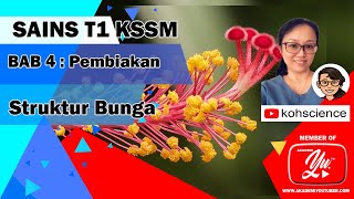 SAINS T1B4 Struktur Bunga Tingkatan 1 [upl. by Wassyngton]