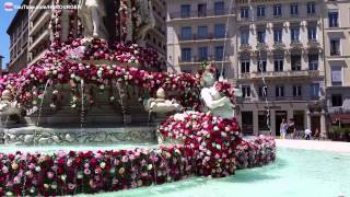 La Fontaine des Jacobins pendant le festival des Roses Lyon [upl. by Renick]