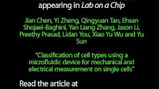 Classification cell types microfluidic device mechanical amp electrical measurement on single cells [upl. by Amuh283]