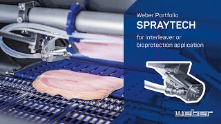 SprayTech  for interleaver or bioprotection application [upl. by Leihcey]