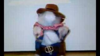 SInging and dancing Hamster singing Rawhide [upl. by Sheelagh86]