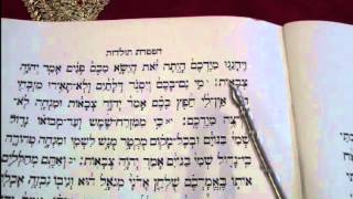 Haftorah Reading Toldot Rabbi Weisblum קריאת הפטרת תולדות הרב ויסבלום [upl. by Ainahs]