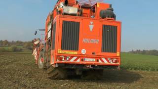 Zuckerrübenroden mit einem Holmer Terra Dos T3 Am 18 10 2016 Straßkirchen Niederbayern auf großen [upl. by Quincy707]