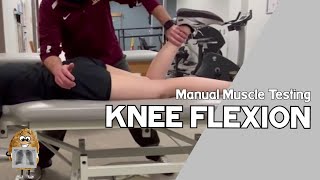 MMT Knee Flexion Manual Muscle Test [upl. by Sivrup]