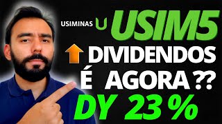 DIVIDENDOS USIMINAS 2022 USIM5 atualizado Analise de Dividendos e Preço Completa 2022 COMPRAR [upl. by Aniratac]