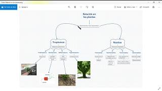 Relación en plantas Tropismos y Nastias [upl. by Chubb]