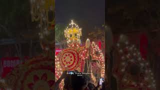 Kandy Esala Perahera  Sri Lanka  2024 srilanka shorts [upl. by Nnyllaf]