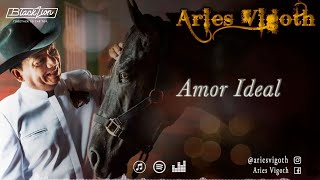 Amor Ideal  Aries Vigoth Video Lyric Oficial [upl. by Moreen]