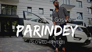 Parindey Slowed And Reverb Sumit Goswami  Parindey Lofi Song  New Haryanvi Songs Haryanavi 2022 [upl. by Lincoln]