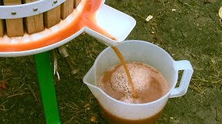 How to Easily make Apple Juice in a Press [upl. by Chantalle]