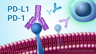 Understanding Immunotherapy for NSCLC with PD1 and PDL1 Biomarkers [upl. by Yesima612]