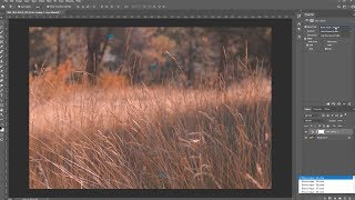 How to Install amp Use LUTs in Photoshop for PC  MAC [upl. by Enrobialc]