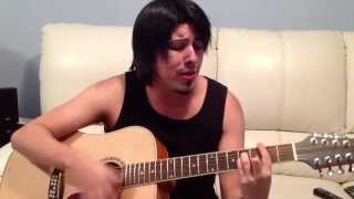 Mana  No ha parado de llover Cover Song [upl. by Ecnal735]