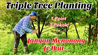 Triple Tree Planting  Jangan Pakai Hentam Tanpa Sebab [upl. by Edana226]