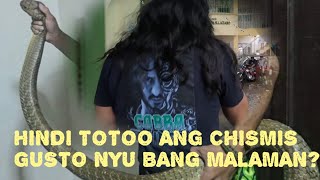 MGA KALABOG SA KISAME NG SCHOOL NAG MULA PALA SA AHAS cobraprince [upl. by Gustafson]