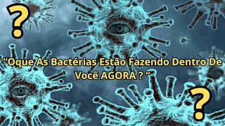 3 quotO Que As Bactérias Estão Fazendo Dentro de Você AGORAquot [upl. by Marlee]